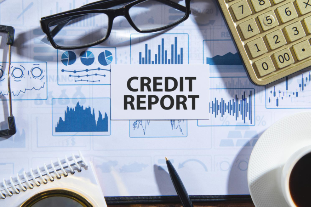 How To Review Your Credit Report Like a Pro